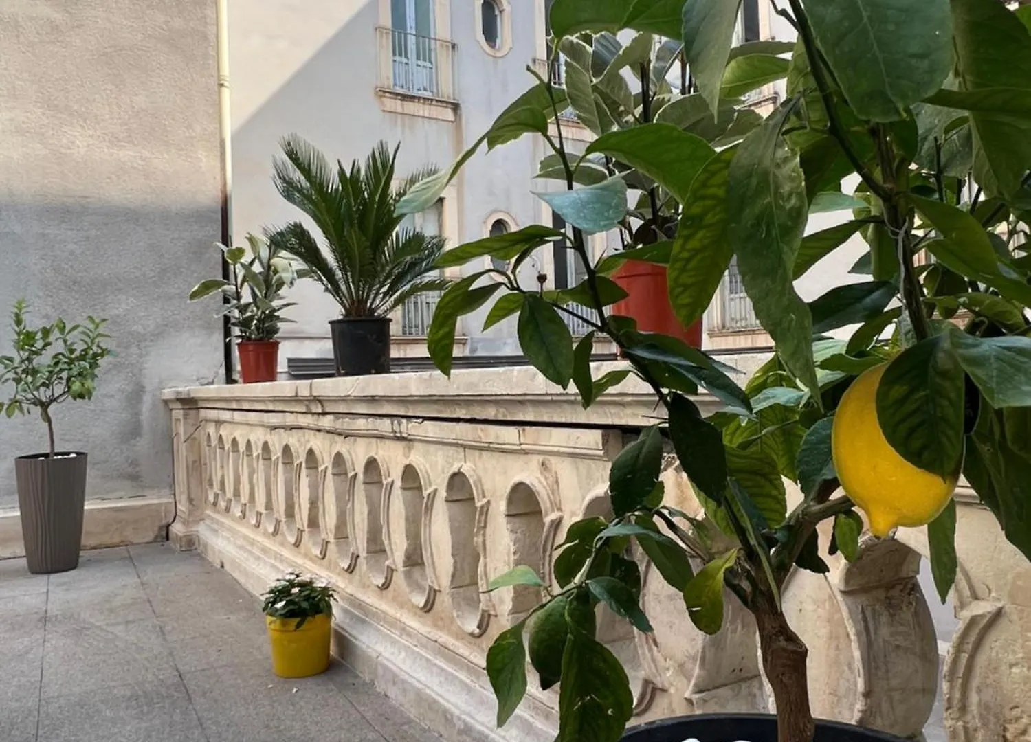 San Giuliano Palace CTA
